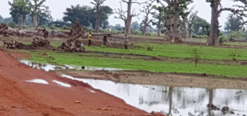 Arrêt sur images/Ndingler : Les paysans de retour sur leurs champs