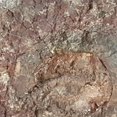 Sandaga : photos du bâtiment à réhabiliter et précisions sur le dispositif sécuritaire