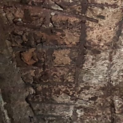 Sandaga : photos du bâtiment à réhabiliter et précisions sur le dispositif sécuritaire