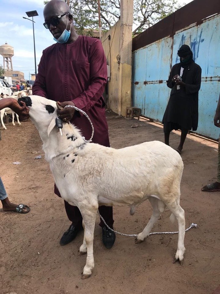 Tabaski : Serigne Mbacké Ndiaye offre un mouton à Me Wade