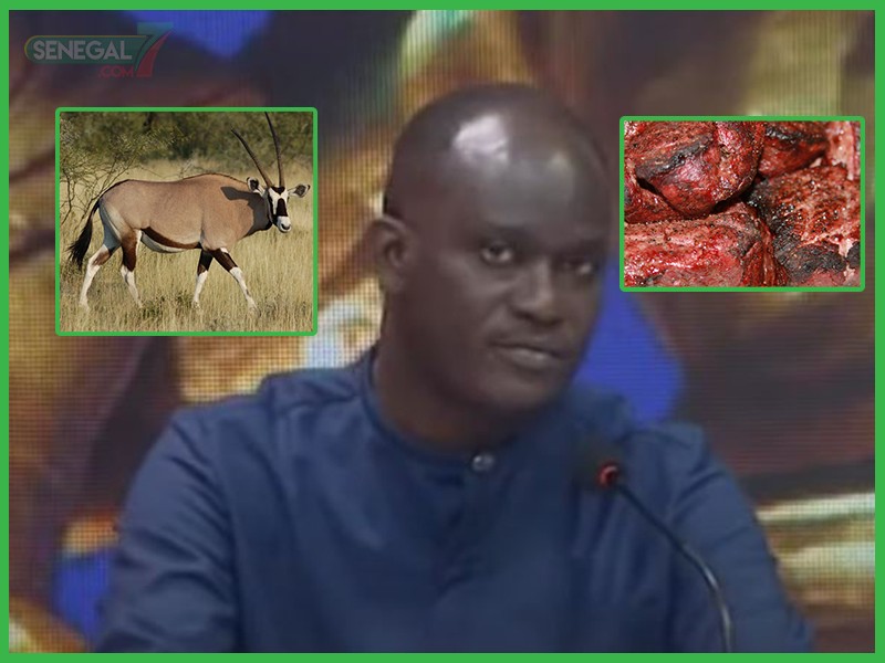 Vidéo-Affaire des Gazelles Oryx: "Ces animaux ont fini en steak", révèle Dr Cheikh Dieng
