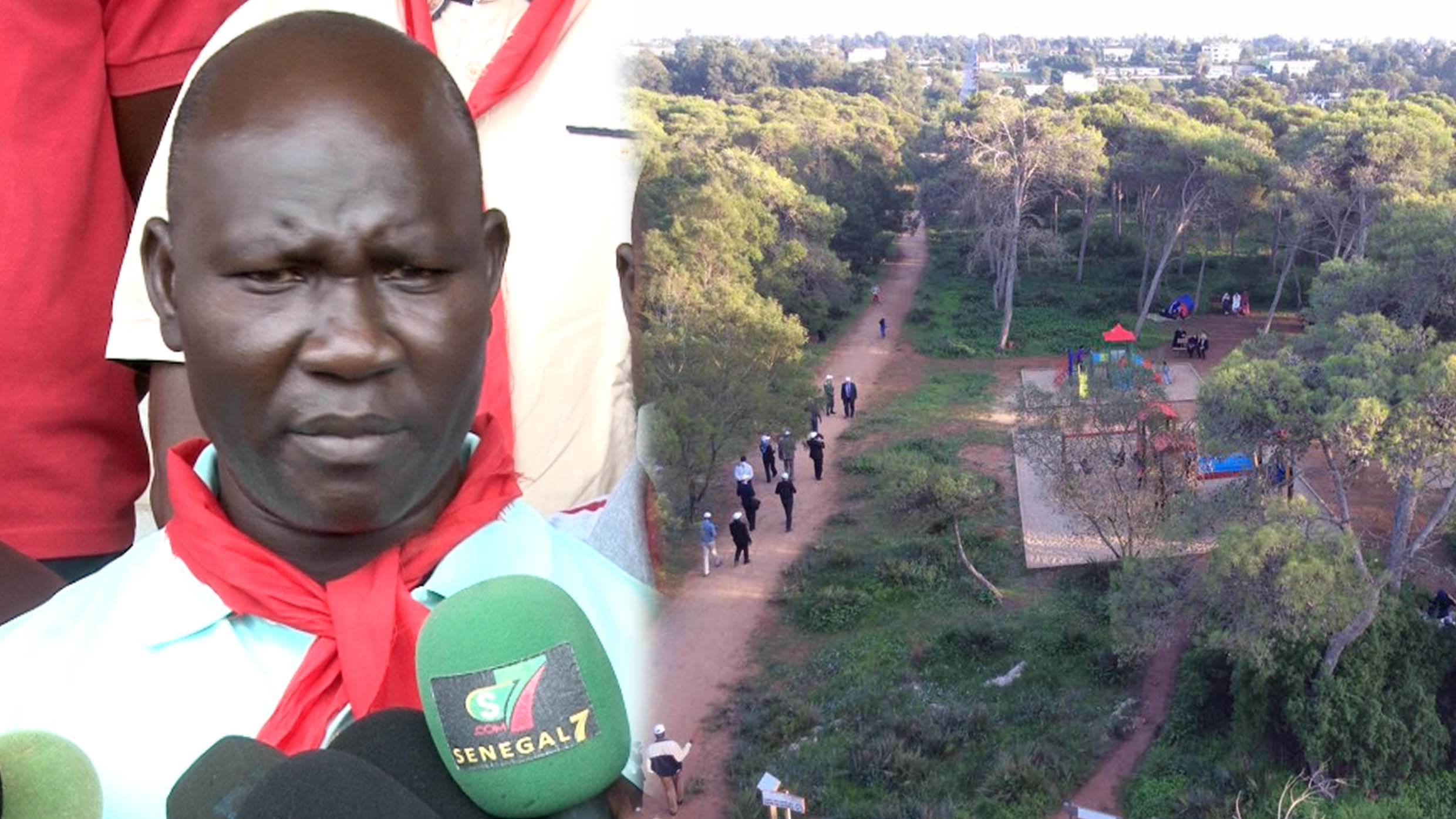 Vidéo-Mbao: La plateforme pour la défense de la forêt interpelle le président de la République