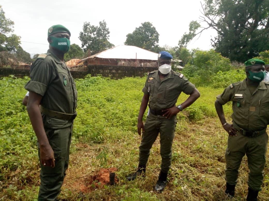 Journée de l'arbre à Ziguinchor : « malgré ce couvert végétal verdoyant la région est sous menace depuis des années», Gouverneur AD