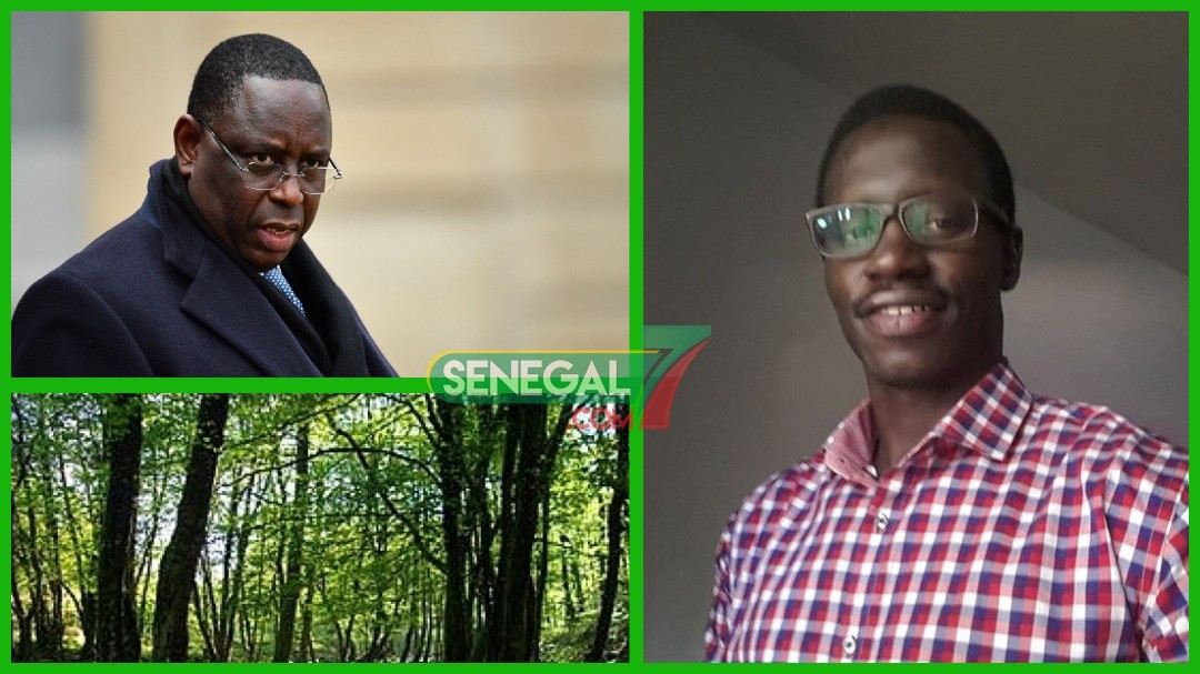 Lettre ouverte-Forêt de Mbao: Abdou Diène interpelle la responsabilité de Macky Sall