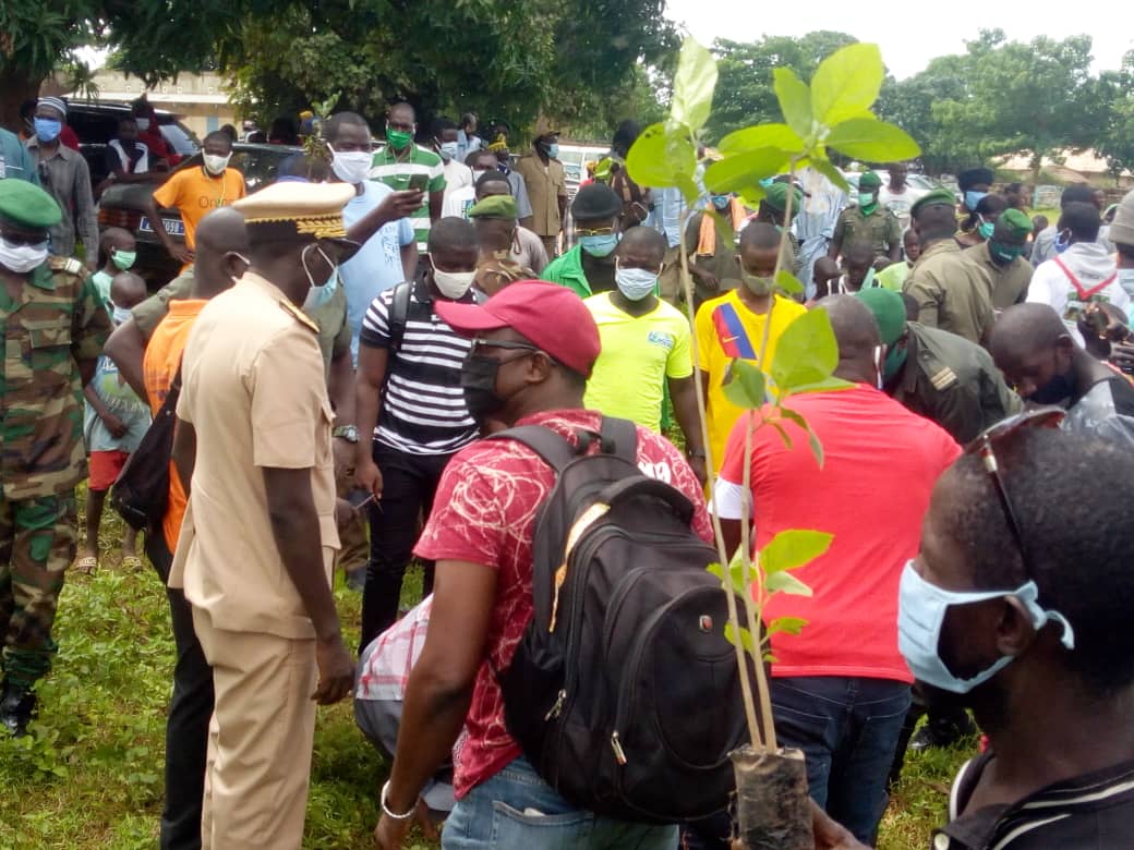 Journée de l'arbre à Ziguinchor : « malgré ce couvert végétal verdoyant la région est sous menace depuis des années», Gouverneur AD