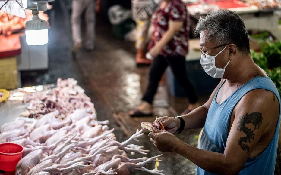 Coronavirus : Des traces présentes sur du poulet brésilien importé en Chine