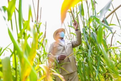 Tournée économique: Macky Sall visite le champ de mil de l’ASC Jamm Bugum