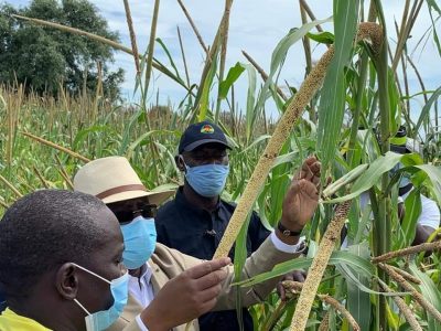 Tournée économique: Macky Sall visite le champ de mil de l’ASC Jamm Bugum
