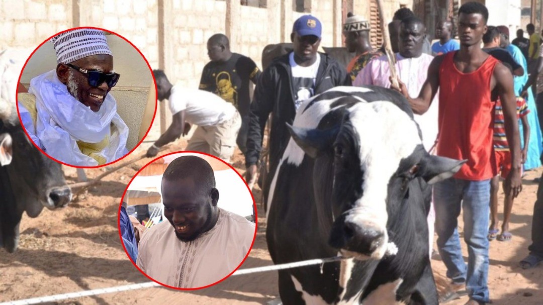 (Vidéo) Magal de Touba: Aziz Ndiaye offre 10 taureaux à Serigne Mountakha