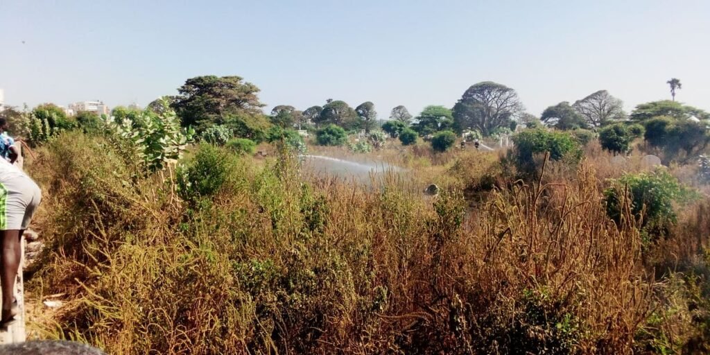 Urgent – Le cimetière de Soumbédioune prend feu ! Voici les images…(Photos 06)