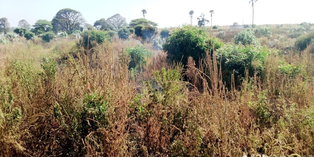 Urgent – Le cimetière de Soumbédioune prend feu ! Voici les images…(Photos 06)