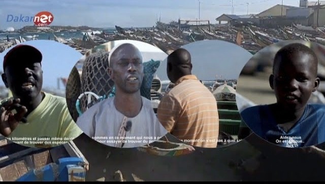 Vidéo : Le cri de cœur et la colère noire des pêcheurs «  Li Mettinaa «