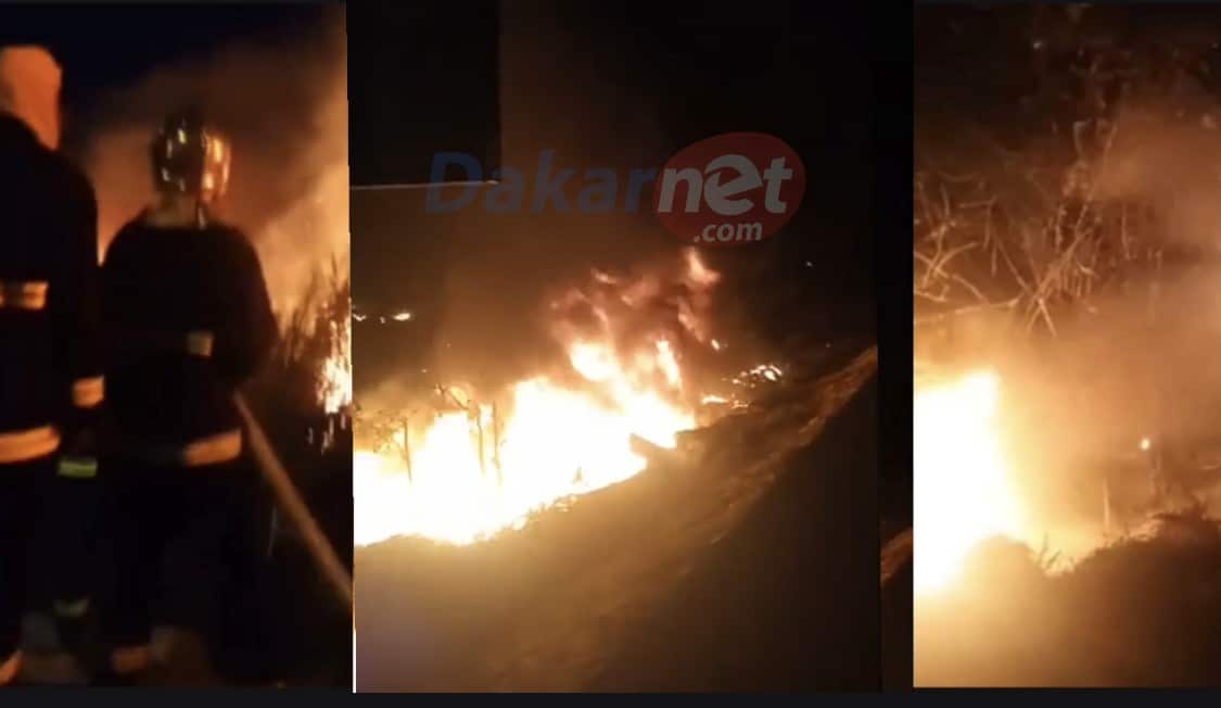 Vidéo - Urgent: Après le Port et un Parc à la Sodida, violent incendie au Technopole de Pikine