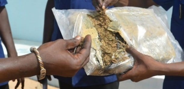 Guédiawaye : Un chauffeur de "clando" tombe avec 114 kg de chanvre indien