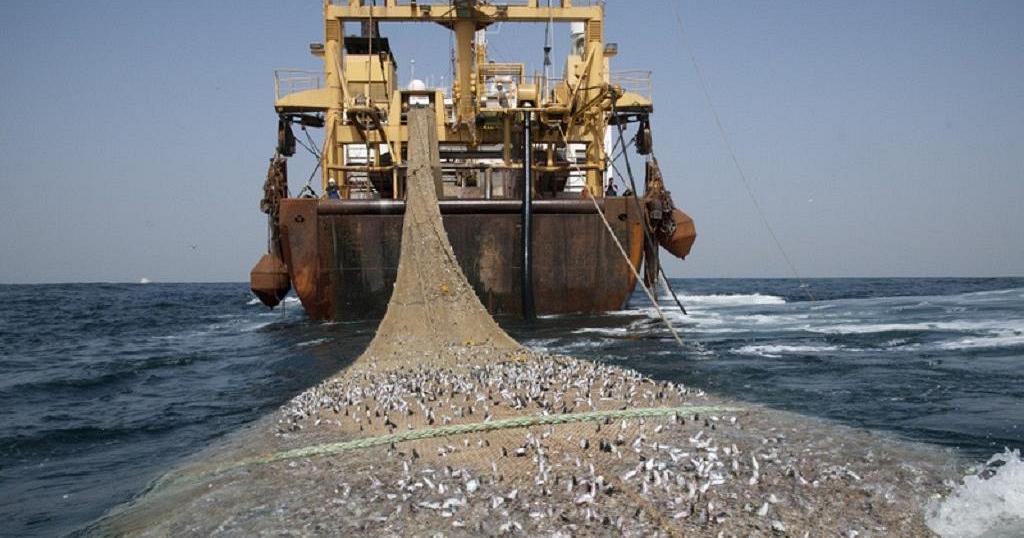 Maladie des pêcheurs : Pourquoi la piste des produits toxiques est plausible !