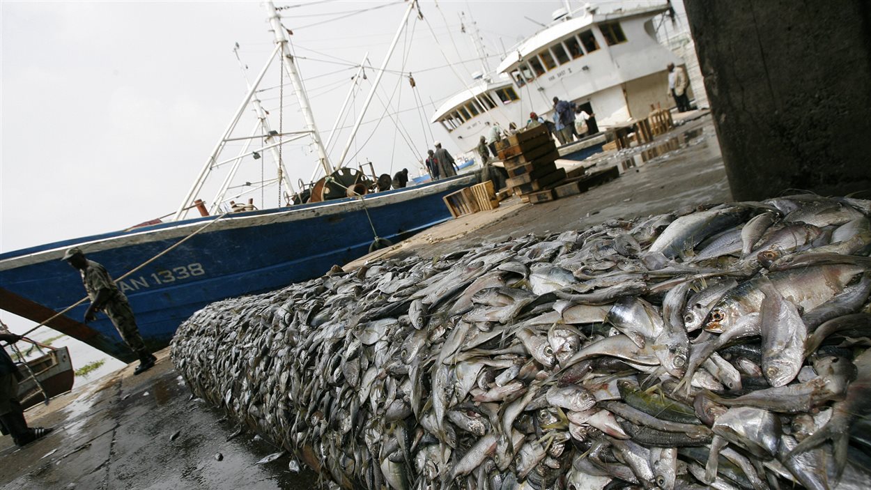 Pêche illicite: le Sénégal perd chaque année 150 milliards