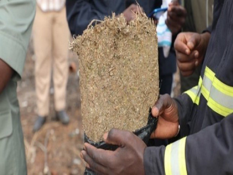 Guédiawaye : Un élève de Terminale arrêté avec 15 kg de Yamba