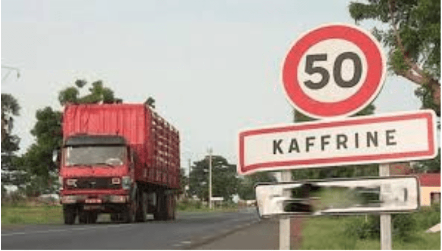Kaffrine : Un camion fou tue 20 bœufs