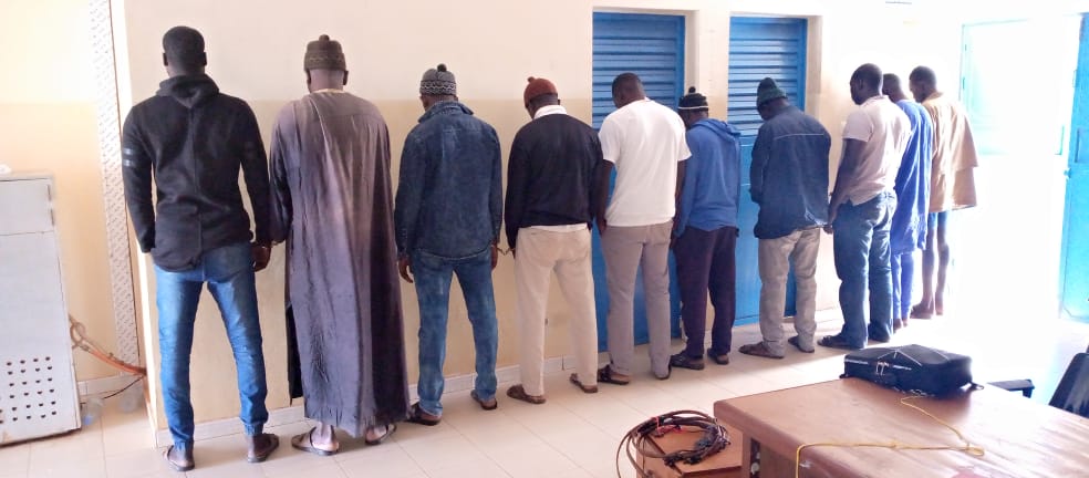 Vol de bétail: 12 personnes arrêtés à Diogo