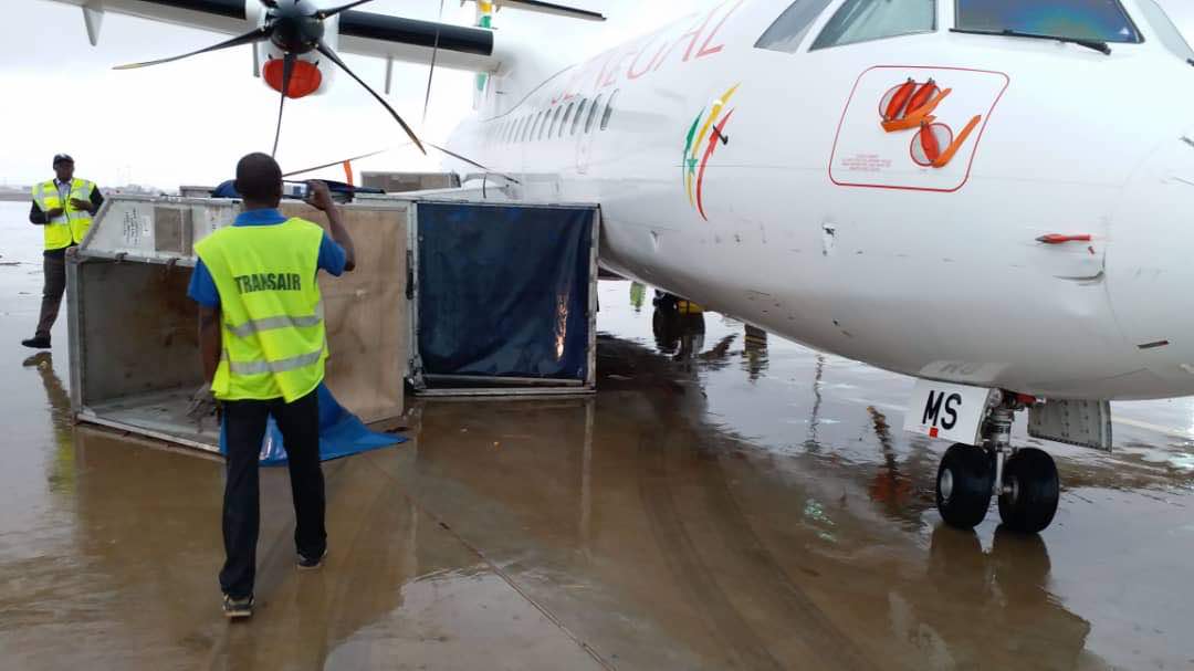 Aéroport Roissy Charles de Gaulle : Un container heurte un avion d'Air Sénégal