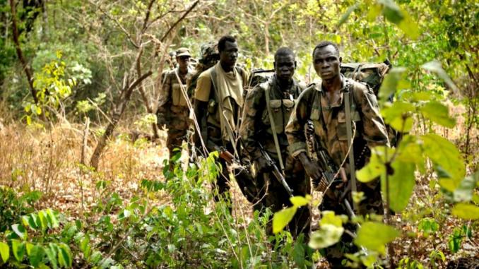 Casamance : 10 jeunes tombent dans une embuscade des rebelles