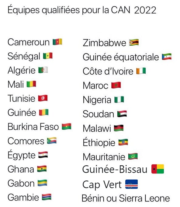 OFFICIEL ! Voici les équipes qualifiées pour la CAN 2022