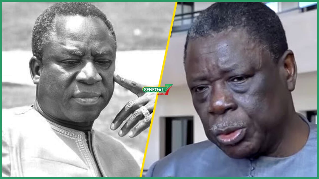 (Vidéo) Me Ousmane Seye, Avocat de Thione Seck: "Yonn Dako Sétal Ba Paré Mou Dora Wouyoudji Boromam..."