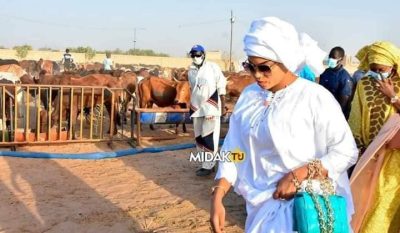 Madinatoul Salam : Sokhna Aïda Diallo visite le bétail destiné au Thiante du 17 avril (Photos)