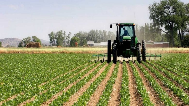 Campagne agricole 2021-2022: L'Etat va débourser 60 milliards de FCFA pour accompagner les producteurs
