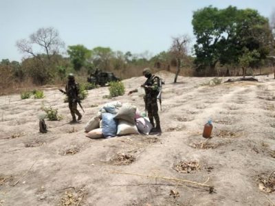 Ziguinchor : 06 champs de chanvre indien et 10 puits détruits par l’Armée
