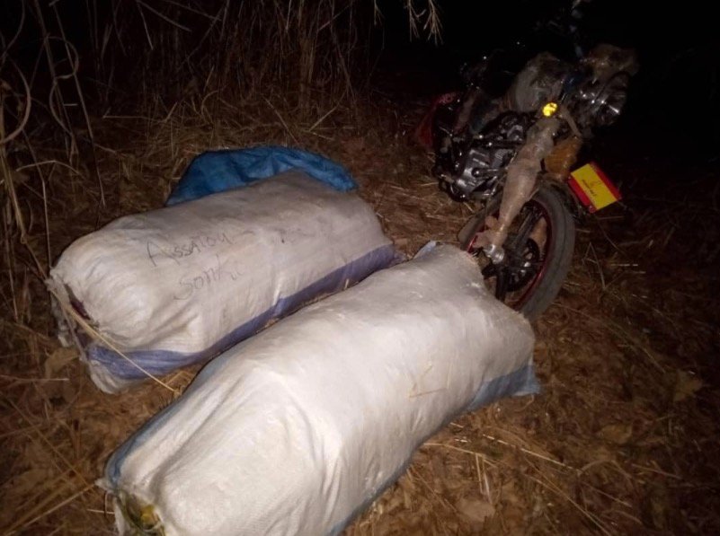 Sédhiou : Saisie de 51 kg de chanvre indien dans le secteur de Kamoya