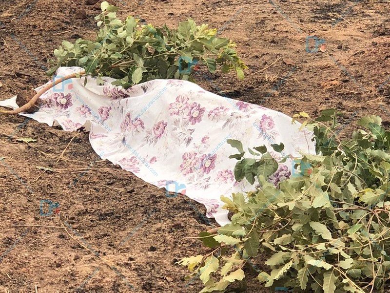 Kédougou : 3 journalistes de Léral du cortège présidentiel meurent dans un accident de voiture