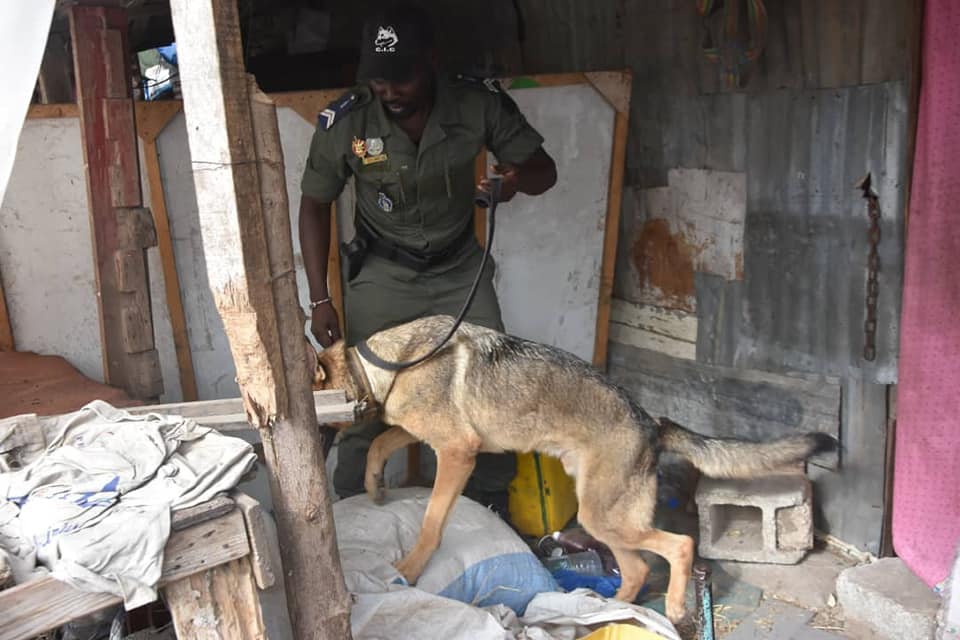 (12 Photos) Opération de sécurisation: La gendarmerie nettoie la "Cité imbécile"