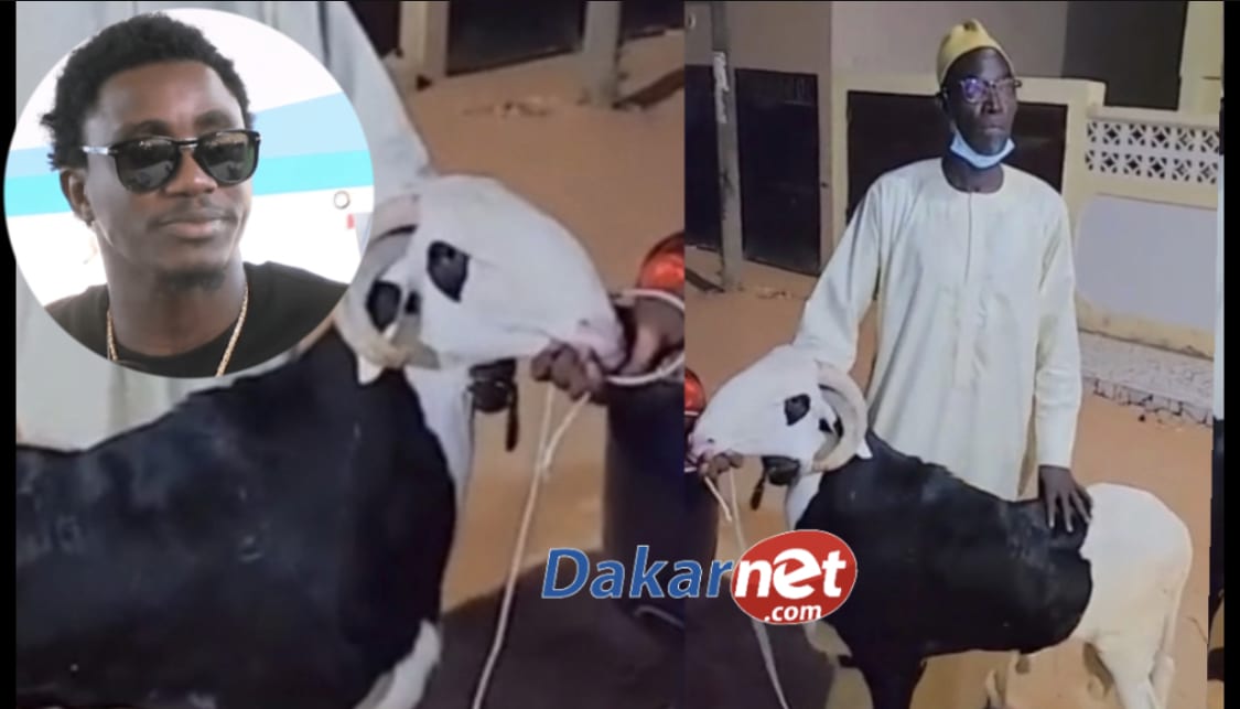 Vidéo: Wally Seck offre un Mouton Ladoum à Père Mbaye Ngoné, regarder sa réaction