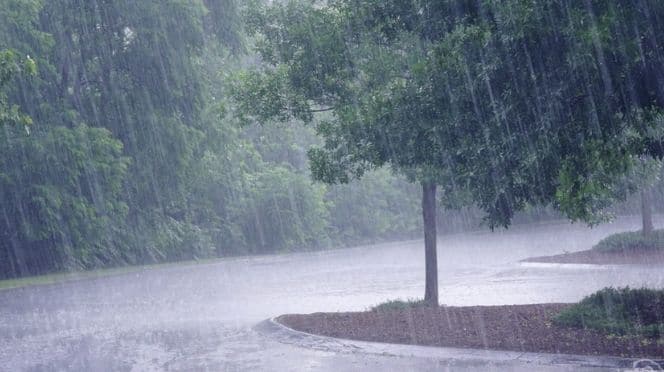 Météo : « Des orages et pluies… », les nouvelles prévisions de l’ANACIM