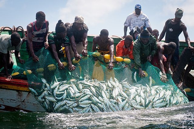 Pêche sur l'axe Dakar-Nouakchott: Bonne nouvelle pour les pêcheurs sénégalais.