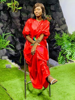 (16 Photos) Sagnsé Tabaski 2021 - Dieyla rayonnante dans une robe très classe