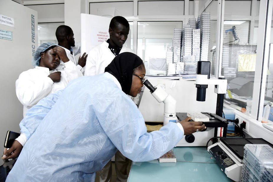 Coronavirus : Cartographie des régions les plus touchées au Sénégal