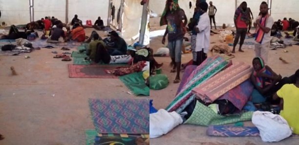 Sénégalais bloqués au Niger : Le 2 compatriotes testés positifs au Covid-19 finalement évacués