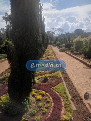 Photos-CAN 2021 : Les Lions seront logés dans le plus grand village de vacances d'Afrique