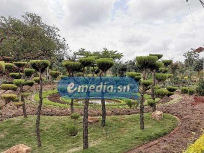 Photos-CAN 2021 : Les Lions seront logés dans le plus grand village de vacances d'Afrique