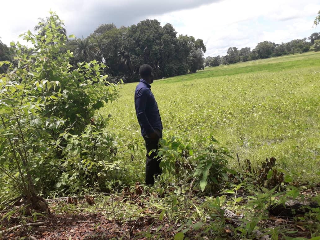 Visite de T. Bocoum en Casamance : "Le Sénégal est un mendiant assis sur une mine d’or" (9 Photos)