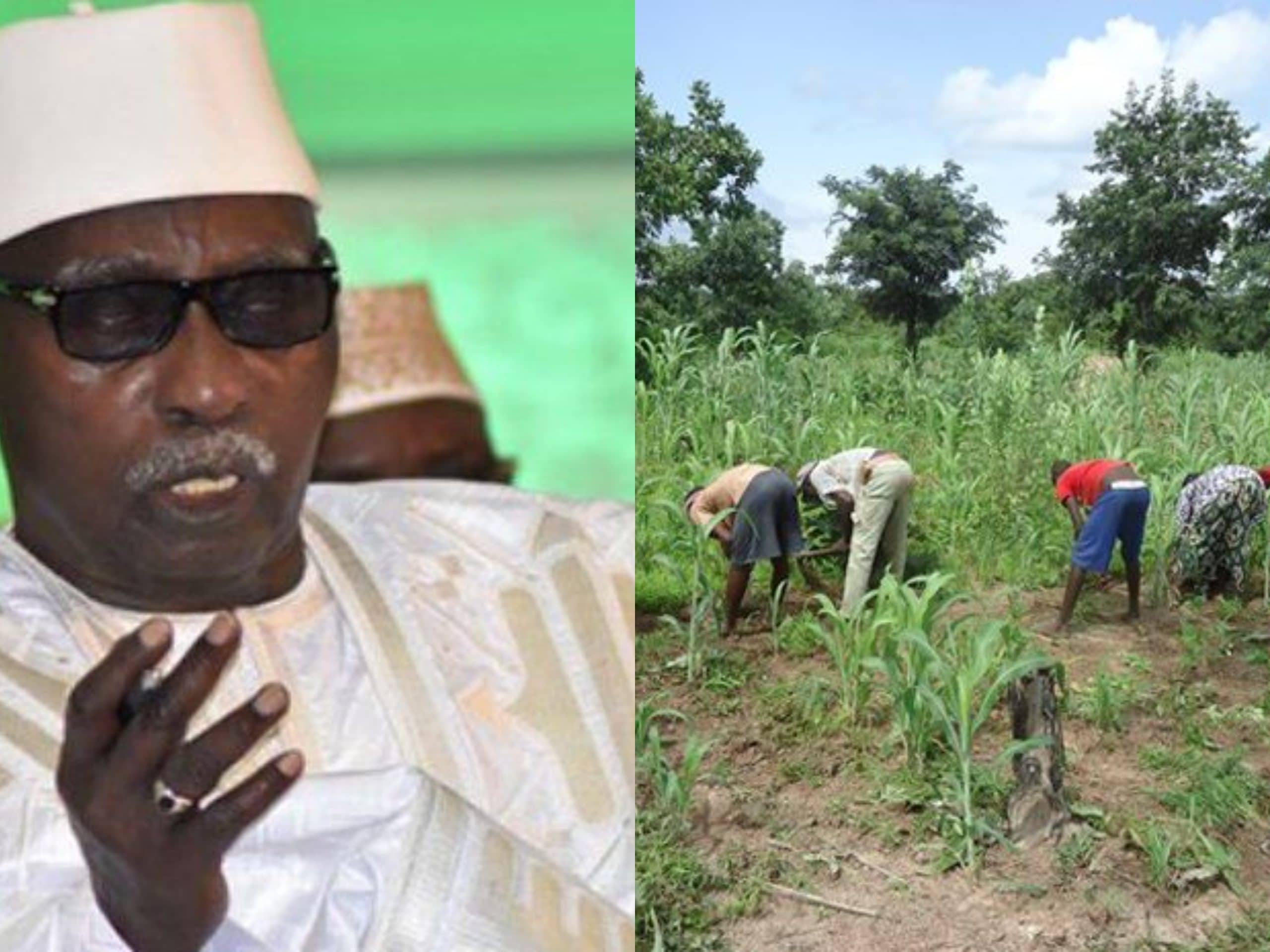 Maouloud : Le Khalife des Tidianes plaide la cause des agriculteurs