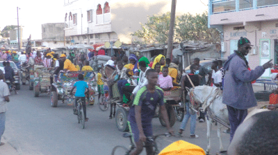 (Photos) Vainqueur des locales à Tivaouane : Demba Diop Sy a tenu une caravane de remerciement