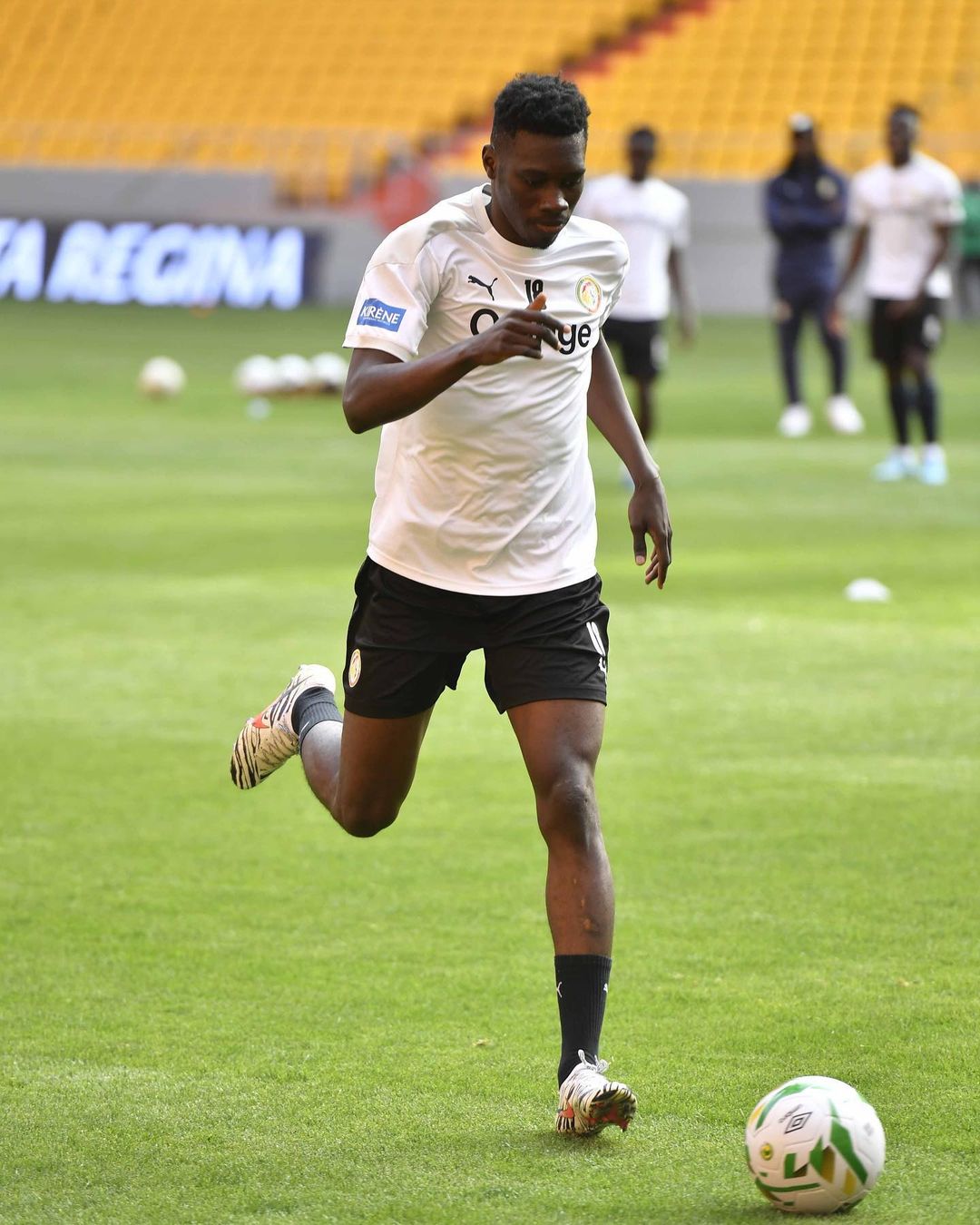 (Photos) Sénégal vs Egypte: Regardez la dernière séance d’entraînement des Lions au stade Abdoulaye Wade de Diamniadio