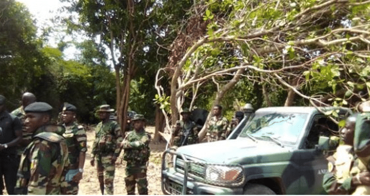 En opération en Casamance : Les Jambars décèlent des tonnes de drogue dans les bases rebelles