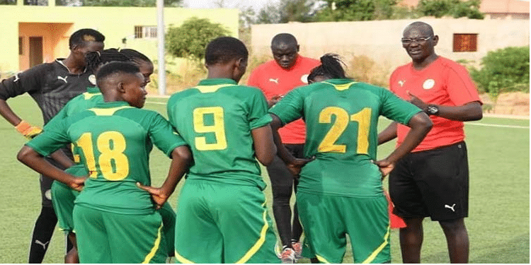 Can féminine : le Sénégal va faire appel à des expatriées