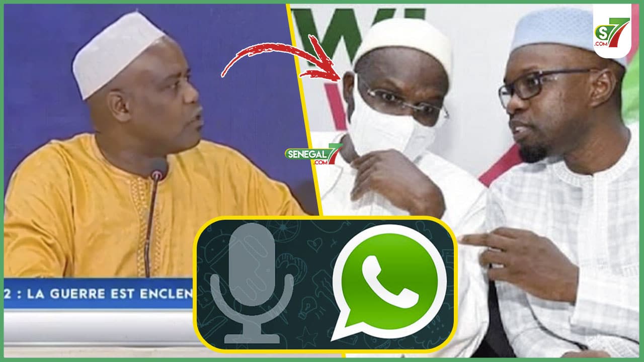 (Vidéo) Amadou Diouf: "Dictature Mo Ame Bir Yewwi Grouoe Whatsapp Bi... On va inevitablement vers un clash"