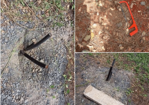 Forêt de Mbao : Les câbles de la ligne communication du TER sabotés