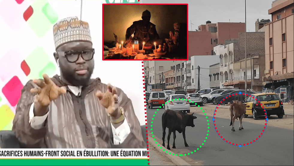 Mystiques et sacrifices des politiciens : Les révélations chocs de Cheikh Ousmane Touré